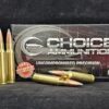 .308 Winchester 180 Grain Nosler Partition~100% Hand-Loaded!!