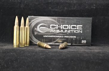 .223 REMINGTON 50 GRAIN SPEER TNT HOLLOW POINT