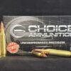 .243 Winchester  55 Grain Nosler Ballistic Tip~100% Hand Loaded !!