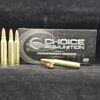 .223 Remington 55 Grain Nosler Varmageddon HPFB~100% Hand Loaded !!