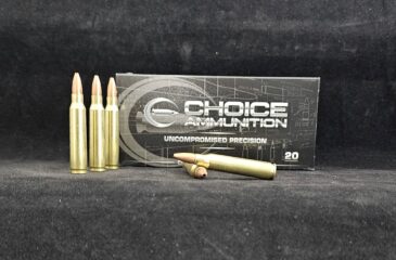 .223 Remington 55 Grain Nosler Varmageddon HPFB~100% Hand Loaded !!