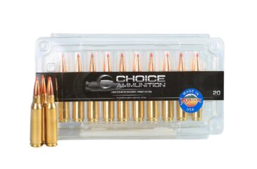 .308 Winchester 150 Grain Hornady SST~100% Hand Loaded !!