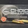 .243 Winchester 100 Grain Nosler Partition~100% Hand Loaded !!
