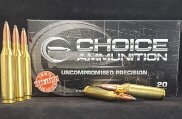 .243 Winchester 100 Grain Nosler Partition~100% Hand Loaded !!