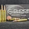 .300 Remington Ultra Magnum (RUM) 180 Grain NOSLER ACCUBOND~100% HAND LOADED !!