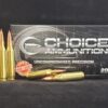 .243 Winchester  90 Grain HORNADY ELD-X~100% HAND LOADED !!