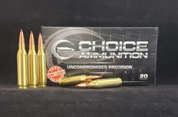 .243 Winchester  90 Grain HORNADY ELD-X~100% HAND LOADED !!