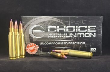 .243 Winchester  95 Grain NOSLER BALLISTIC TIP~100% HAND LOADED !!