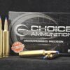 .257 Weatherby Magnum 100 Grain NOSLER BALLISTIC TIP~100% HAND LOADED !!