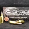 .243 Winchester Super Short Mag (WSSM)100 Grain Soft Point~100% HAND-LOADED!!