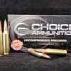 .243 Winchester  90 Grain SIERRA TIPPED GAME KING~100% HAND LOADED !!