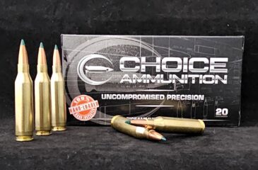 .243 Winchester  90 Grain SIERRA TIPPED GAME KING~100% HAND LOADED !!