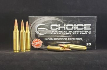 .243 Winchester  90 Grain NOSLER E-TIP (LEAD FREE)~100% HAND LOADED !!