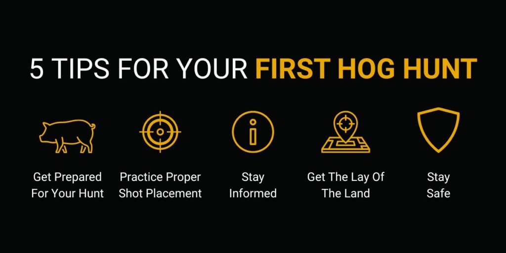 5 Tips For Your First Hog Hunt