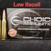 .270 Winchester 130 Grain Nosler Partition (LOW RECOIL)~100% Hand-Loaded!!