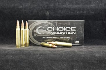 .223 REMINGTON 55 GRAIN NOSLER BALLISTIC TIP VARMINT~100% HAND LOADED !!
