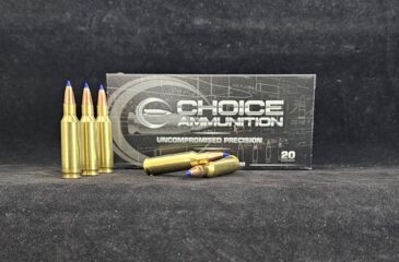 .224 VALKYRIE 55 Grain Barnes TTSX (Lead Free)~100% HAND-LOADED!!
